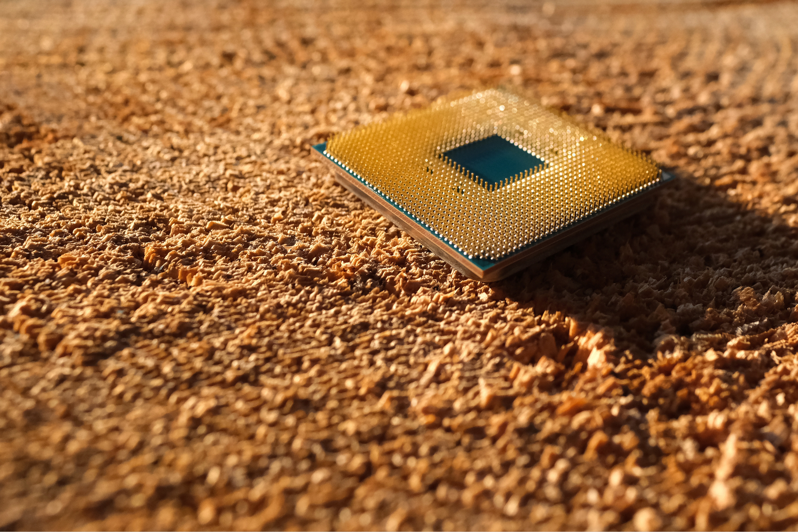 America’s Field of (Microchip) Dreams